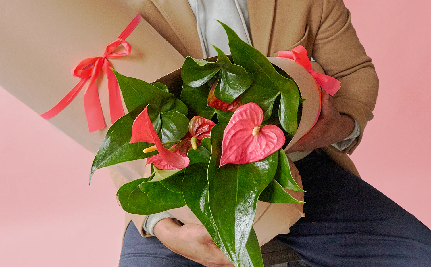 Bring Your Home to Life