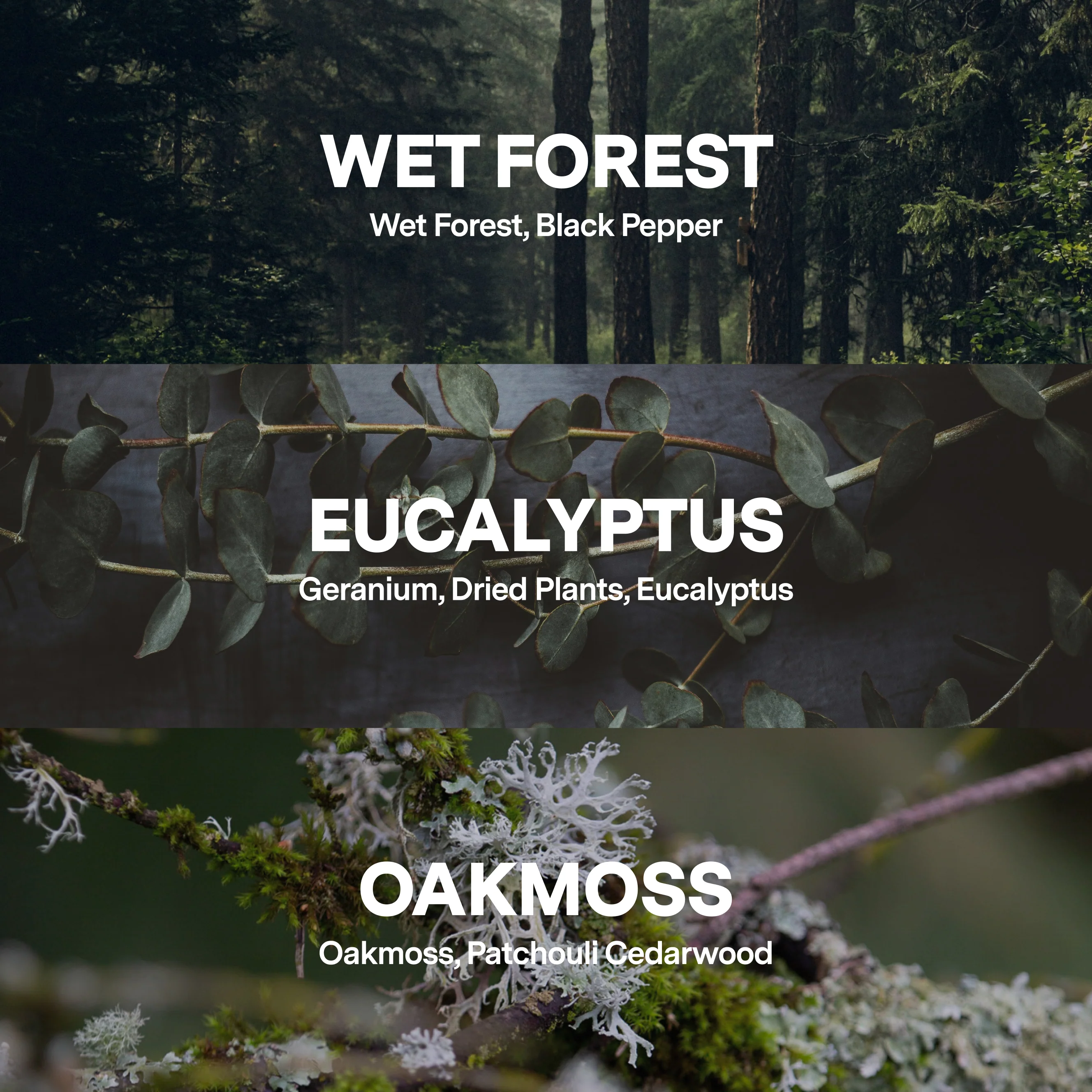 Green Haus Candle Kit - Image 7