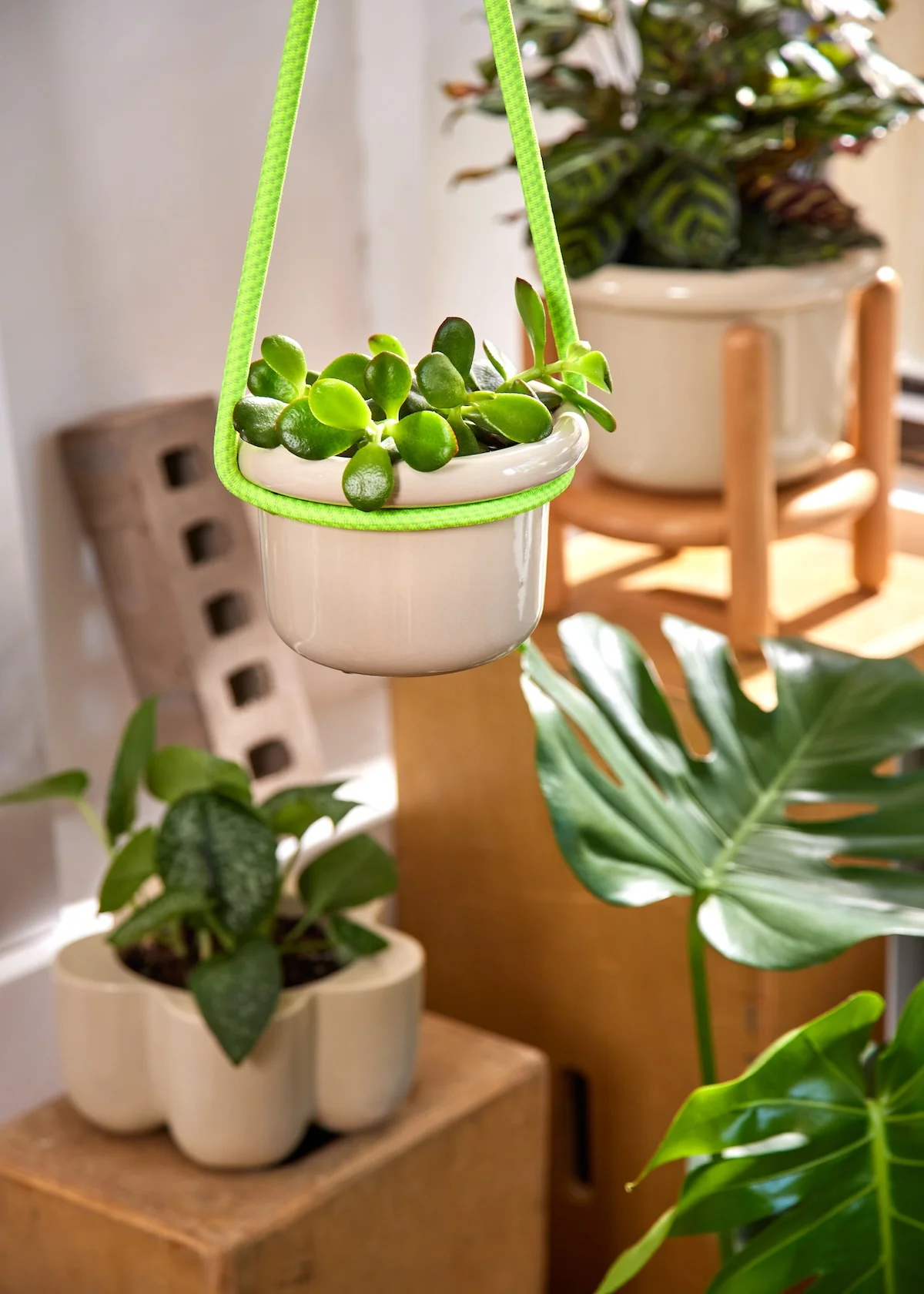 Hanging Rope - Image 6