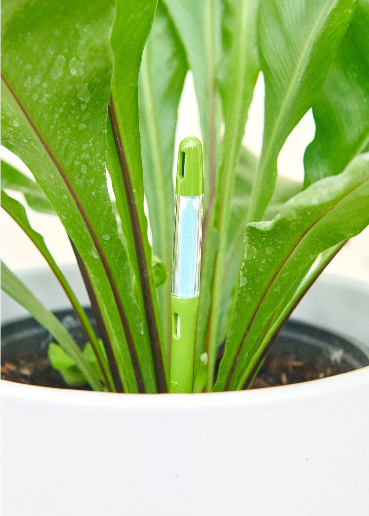 Moisture Meter, Large - Image 4