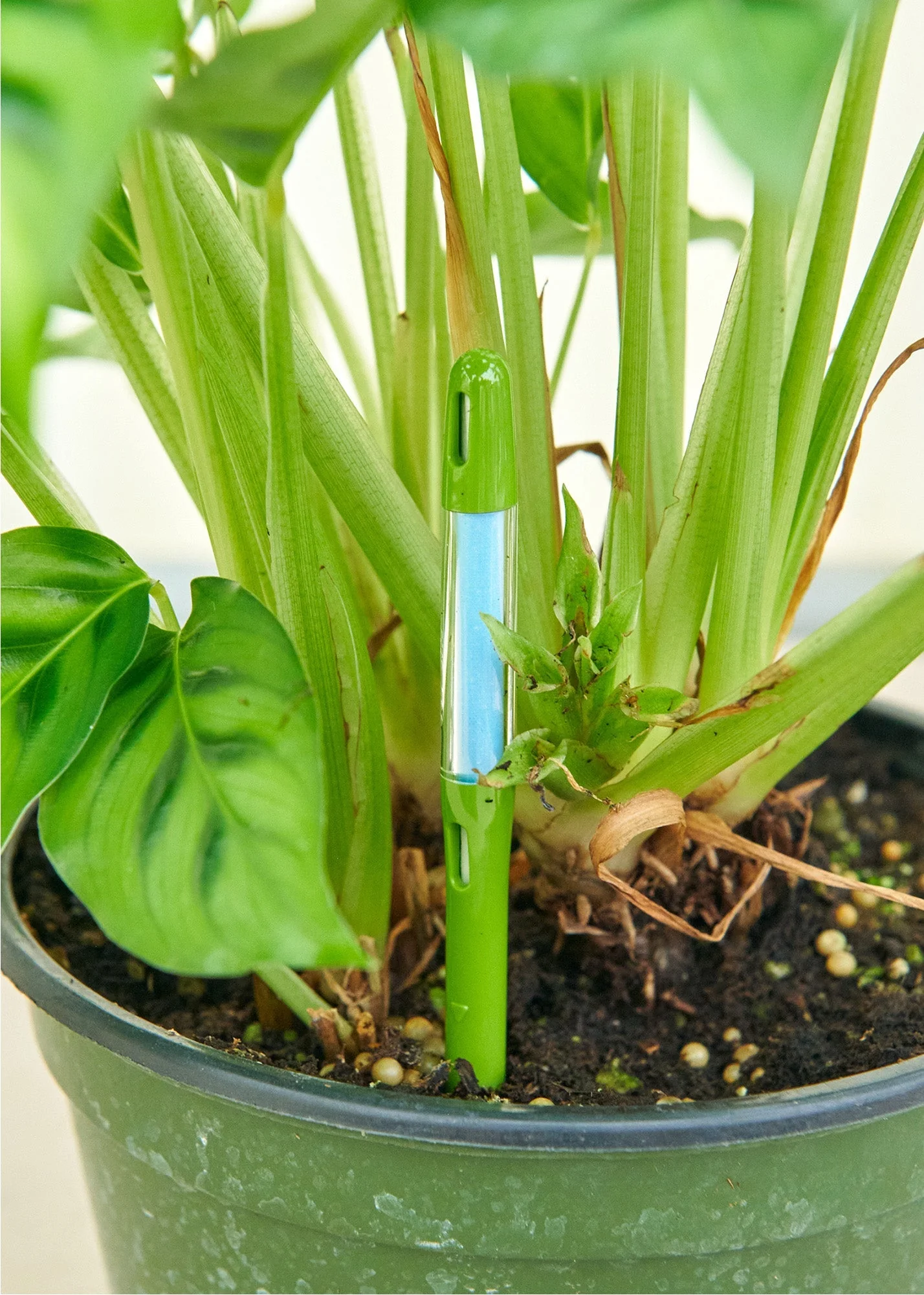 Moisture Meter, Medium - Image 3